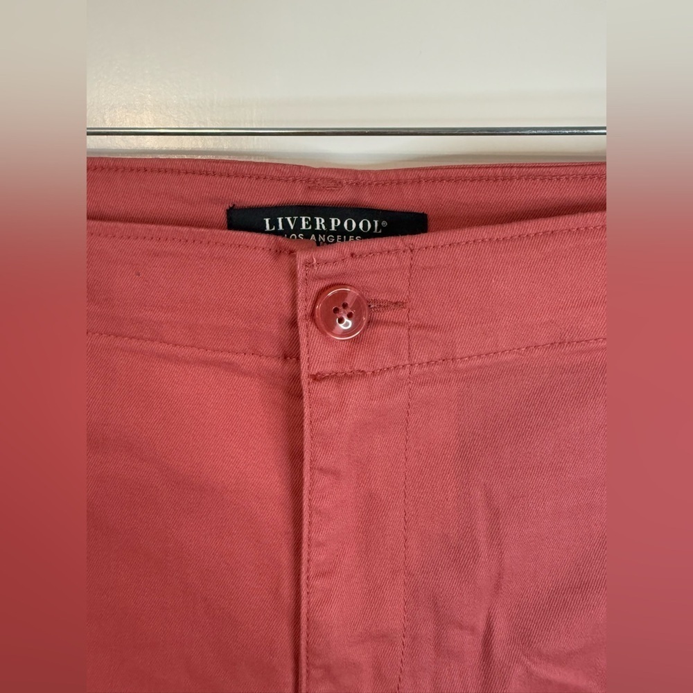 NWT Liverpool Women’s Dusty Cedar Cargo Pocket Shorts - Size 22W - Picture 4 of 11